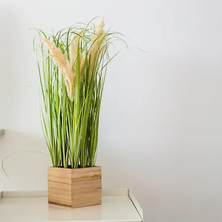 Campus 45 Wonderful Smart In The Area