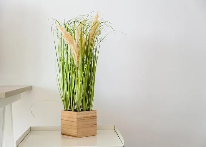 Campus 45 Wonderful Smart In The Area